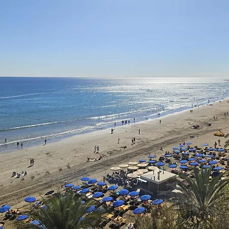 Cactus Daire Playa del Ingles (Gran Canaria)